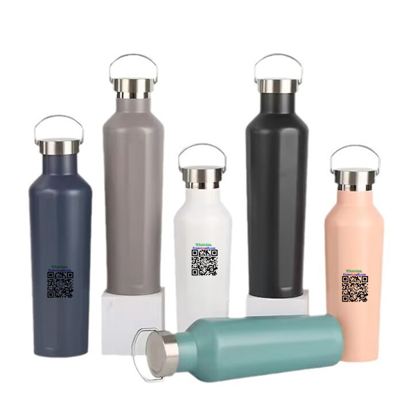 19072031 Stainless Steel Insulated Bottle (1).jpg