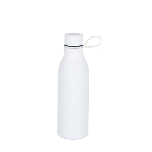 19072134 Thermo Flask Water Bottles (11).jpg
